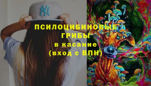 гашиш Няндома