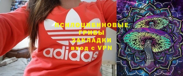 мдпв Осинники